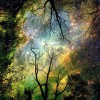 Beautiful Magic Tree Painting with Diamond Kits