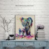 Colorful Mother Elephant with Baby DIY Painting