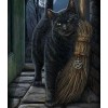 The Black Cat - Diamond Art Kit
