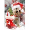Dog on Christmas - Diamond Painting Kit