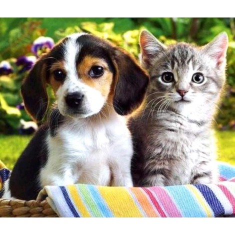 Beautiful Dog & Cat Diamond Art Kit