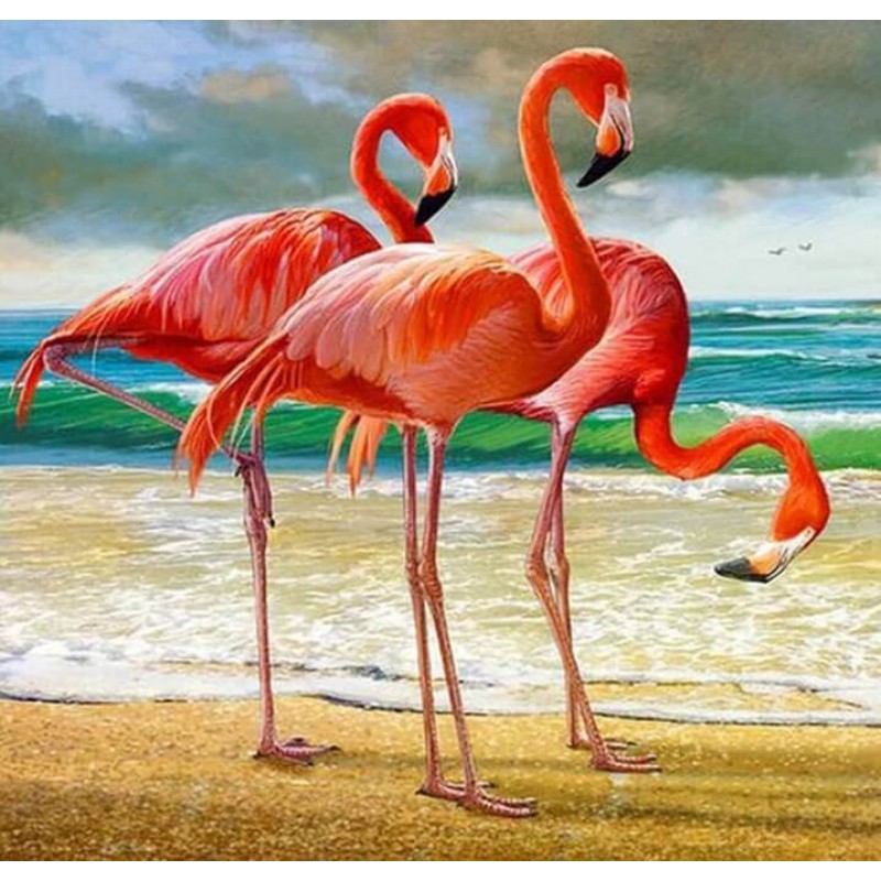 Beach & Flamingos Pa...