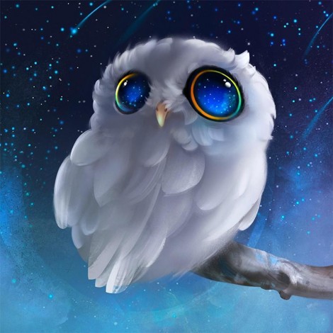 Cute White Owl Diamond Art Kit