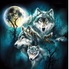 Full Moon & Wolves Diamond art Kit