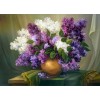 Graceful White and Purple Flowers