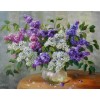 Graceful White and Purple Flowers