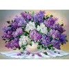 Graceful White and Purple Flowers