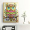 Special Serious Owl Diamond Art Kit