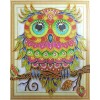 Special Serious Owl Diamond Art Kit