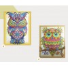 Special Serious Owl Diamond Art Kit