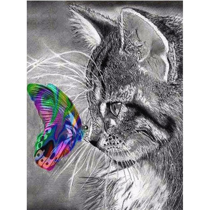 Cute Cat and Adorabl...