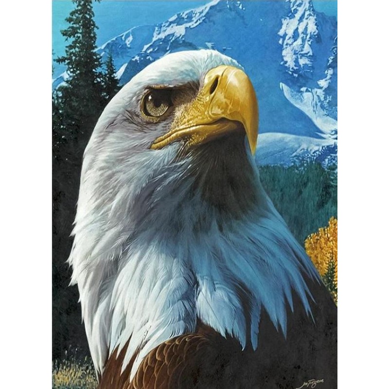 Big Beautiful Eagle ...