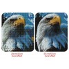 Big Beautiful Eagle Diamond Painting