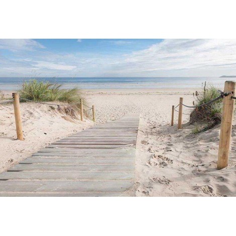 Entrance to the Beach Diamond Painting Kit