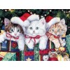 Christmas & Cats Painting Kit