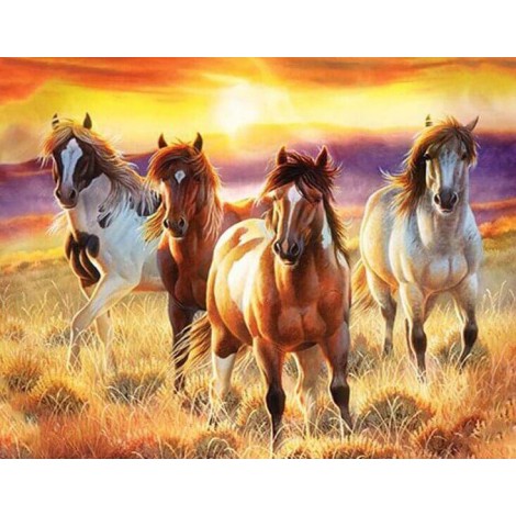 Beautiful Horses Diamond Painting Kit