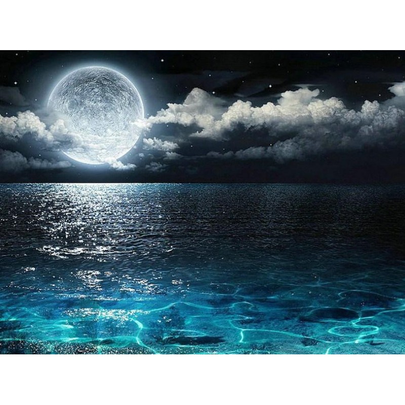 Amazing Night View L...