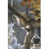 Amazing Reindeer Painting Kit