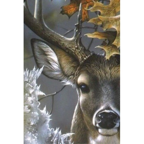 Amazing Reindeer Painting Kit