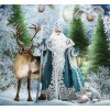 Animals & Santa Claus Diamond Art Kit