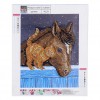 Cat Friend with Horse - Special Diamond Painting
