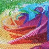 Colorful Rose Flower Special Diamond Painting