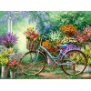 Beautiful Bicycle Flowers Shop