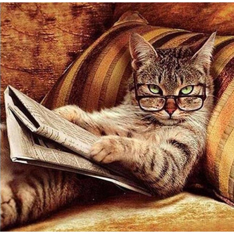 Amazing Cat Reading ...