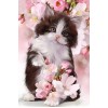 Cat & Pink Flowers Painting Kit