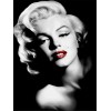 Charming Marilyn Monroe, Elvis & Michael Jackson Diamond Painting Kits