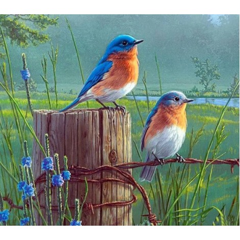 Beautiful Birds Diamond Painting Kit