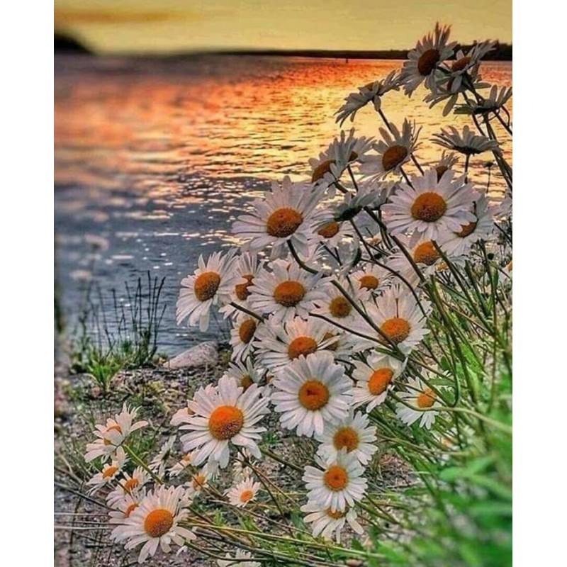 Lovely Sunset on a S...