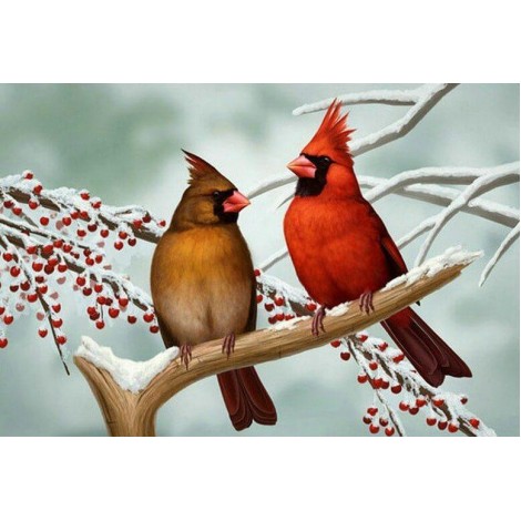 Beautiful Birds Pair Diamond Painting