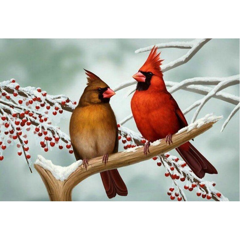 Beautiful Birds Pair...