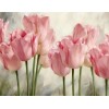 Gorgeous Tulips Diamond Art Kit