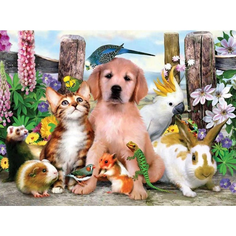 Beautiful Animals to...