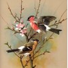 Sweet Sparrows Diamond Art Kit
