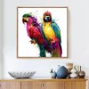 Attractive African Parrots Diamond Painting