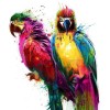 Attractive African Parrots Diamond Painting