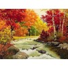 Amazing Mother Nature Diamond Painting Kit