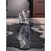 Kitten Reflection as a Tiger