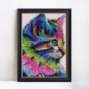 Big Colorful Cat Diamond Painting for your Wall
