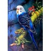Adorable Blue Australian Parrot