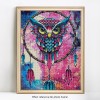 Colorful Big Dream Catcher Owl