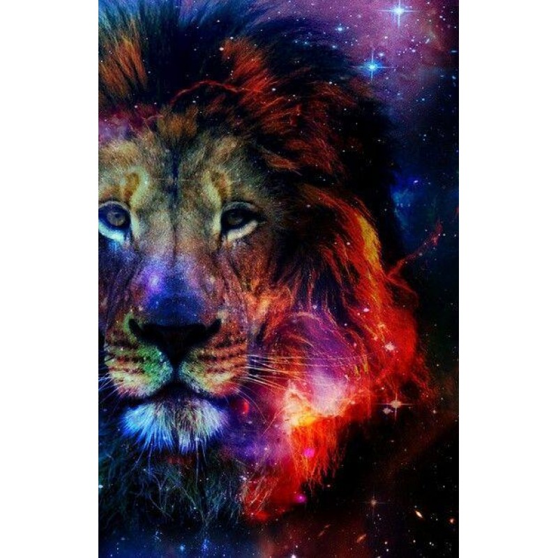 Galaxy & Lion Diamon...