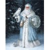 Huge Santa with Owl Diamond Painting Kits for Adults
