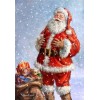Huge Santa with Owl Diamond Painting Kits for Adults